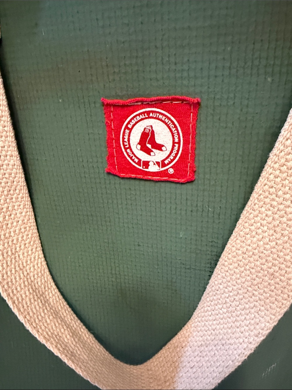 Green Tote Bag with Cream Trim